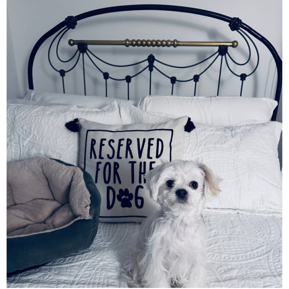 JUJUstars is Live - Join Us! 🌟 - Picture 6 of 16